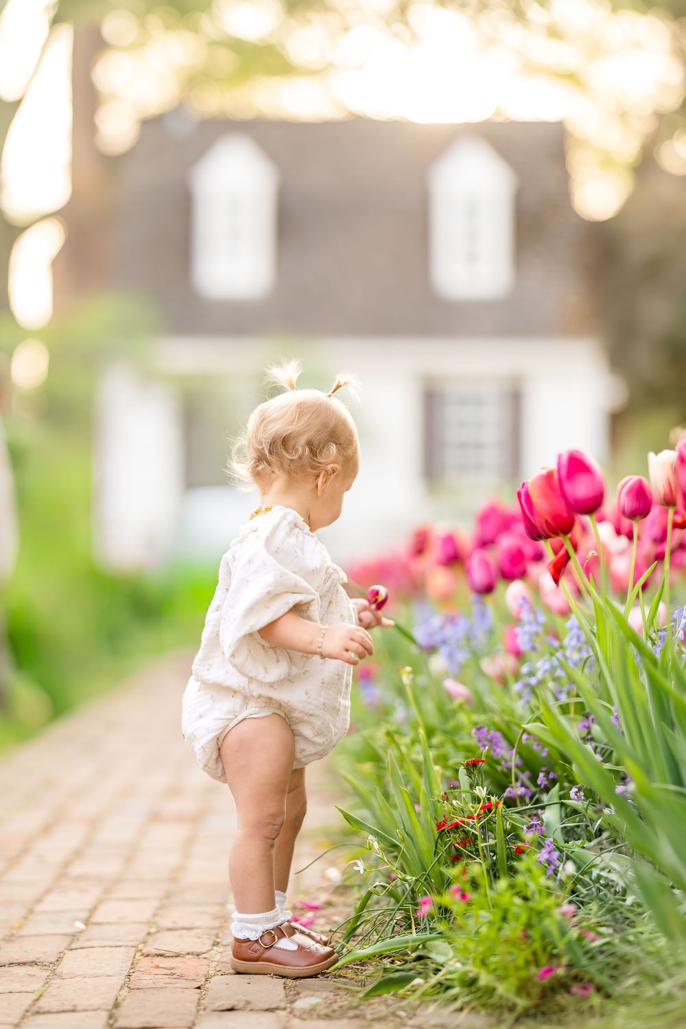 Golden hour light and airy photograph of a toddler smelling tulips at the Taliaferro-Cole garden in Colonial Williamsburg.
