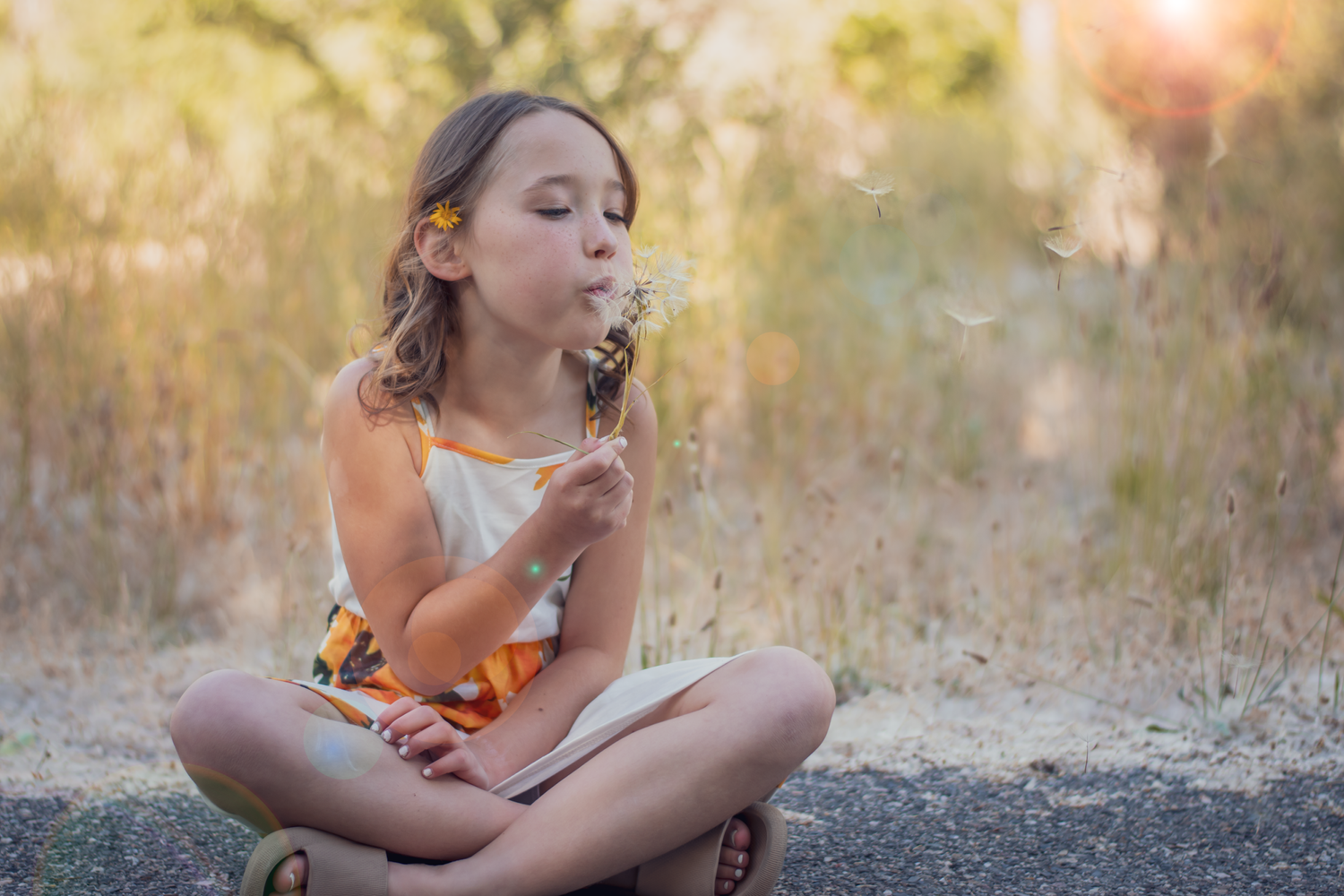 A summer scene shows a figure sitting cross-legged in tall grass making a wish at golden hour.
