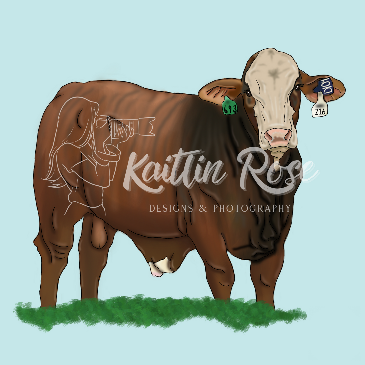 Illustration of brown cows grazing on grass against light blue background.
