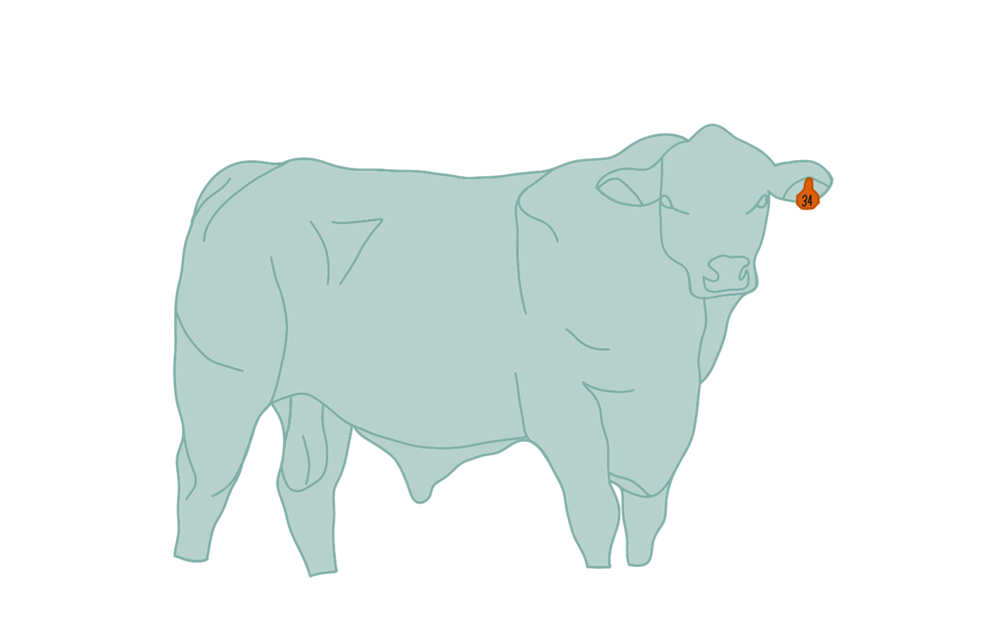 Simple line drawings of farm animals in mint green.