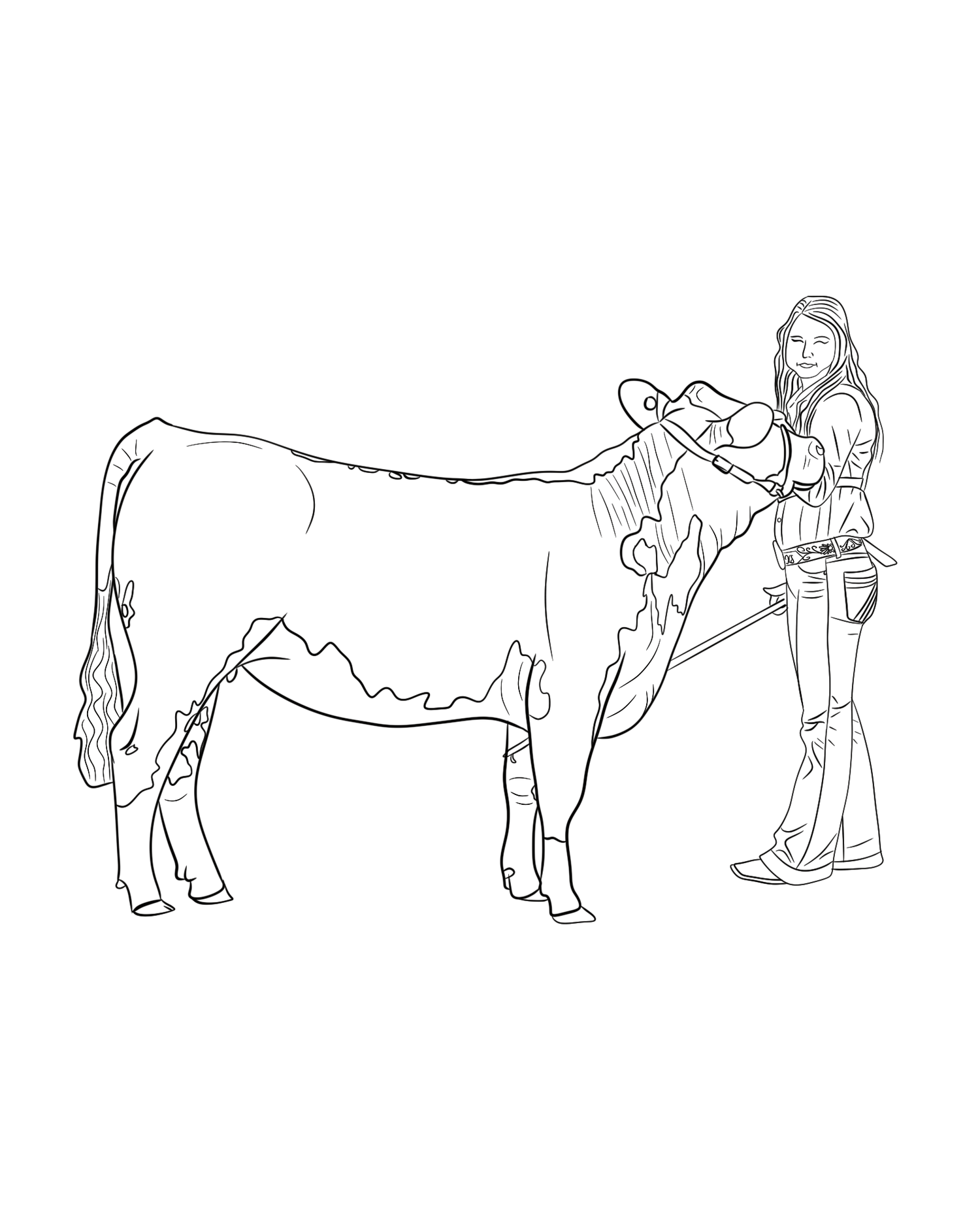 Simple line drawings showing steps for approaching and interacting with a horse safely.