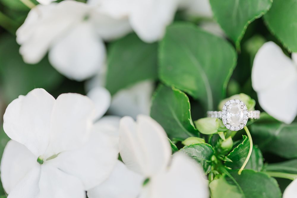 A stunning engagement ring nestled among white flowers and green leaves.