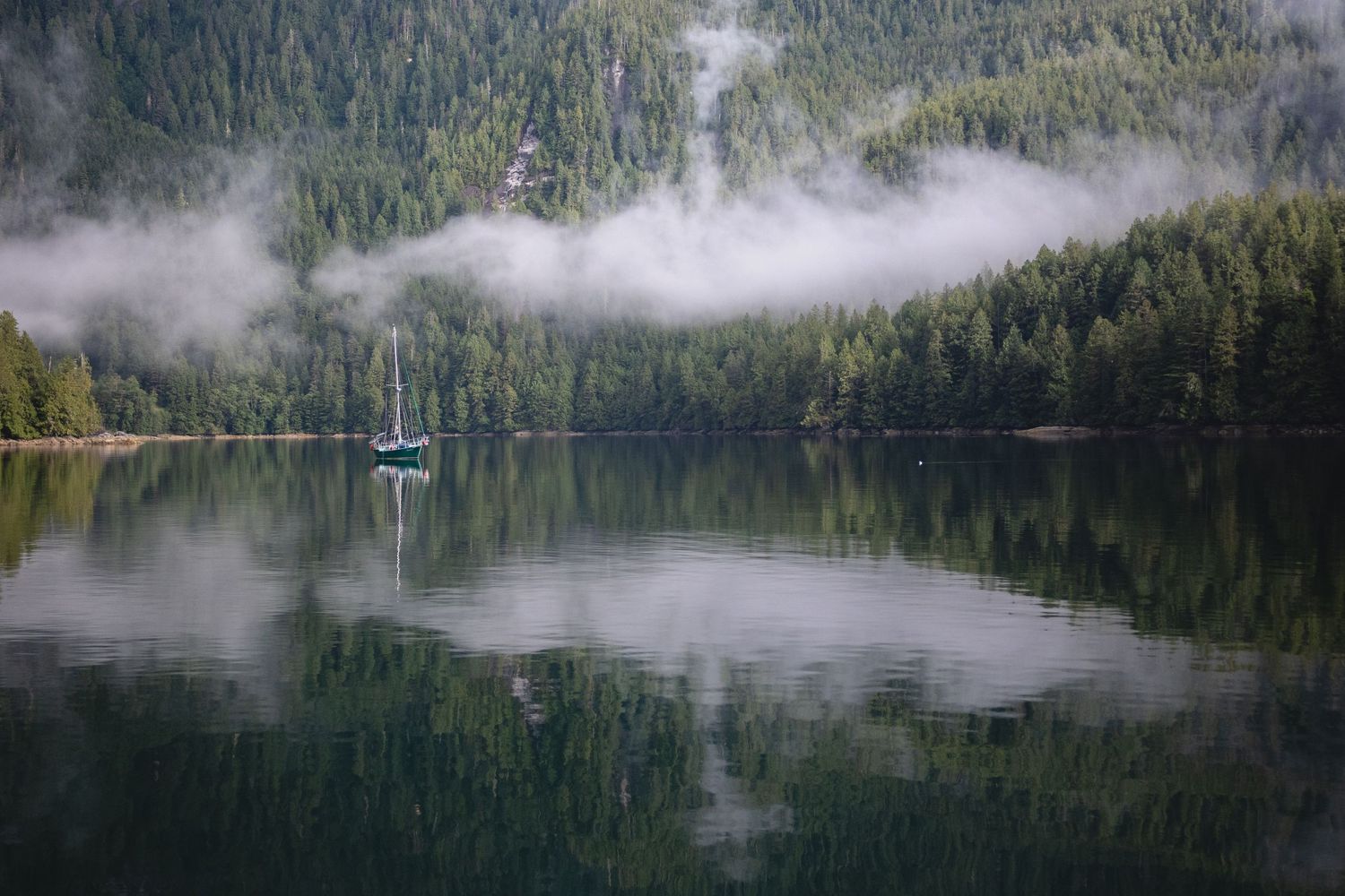 sailboat floating in the wilderness