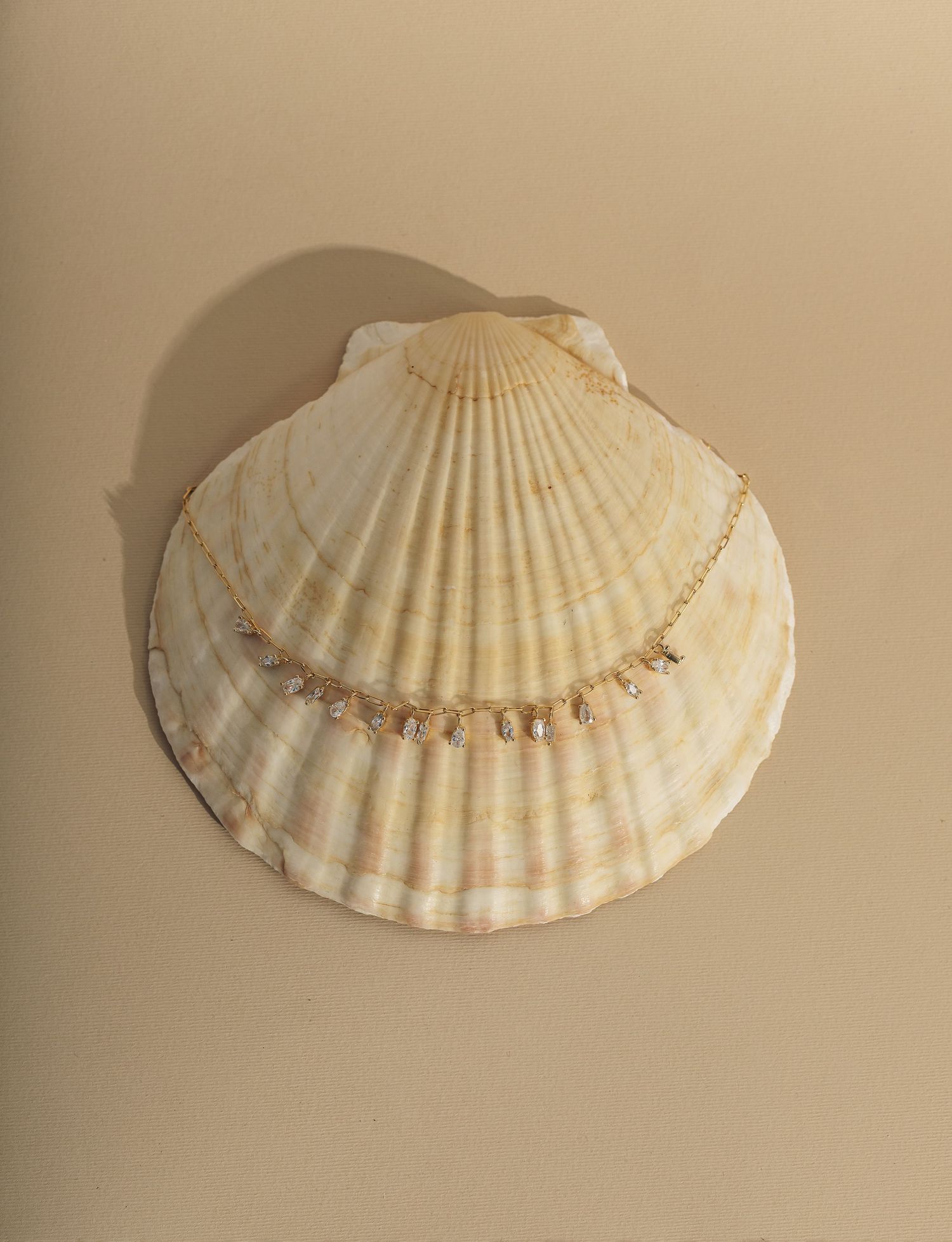 A cream-colored scallop seashell with delicate ridges and patterns photographed against a neutral beige background.