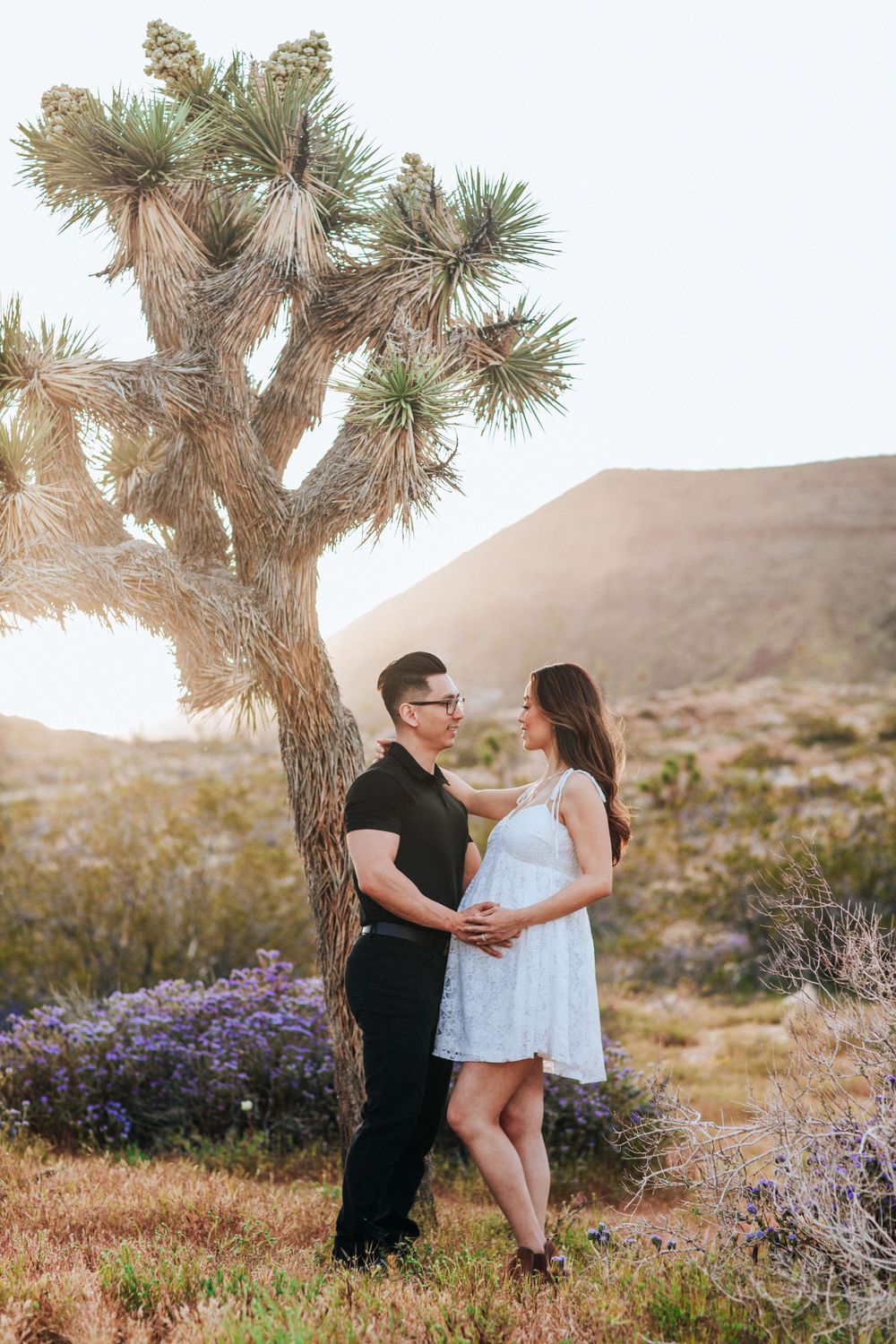 Joshua Tree, desert photography, maternity photography