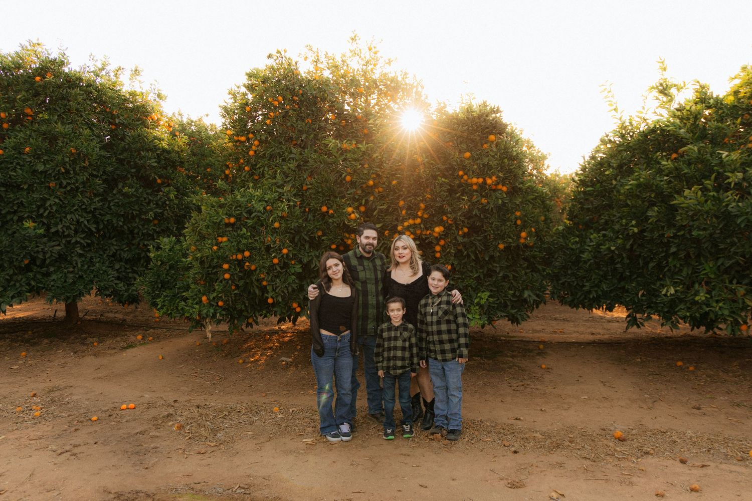 A group stands together in an orange grove at sunset with sunlight filtering through the trees.