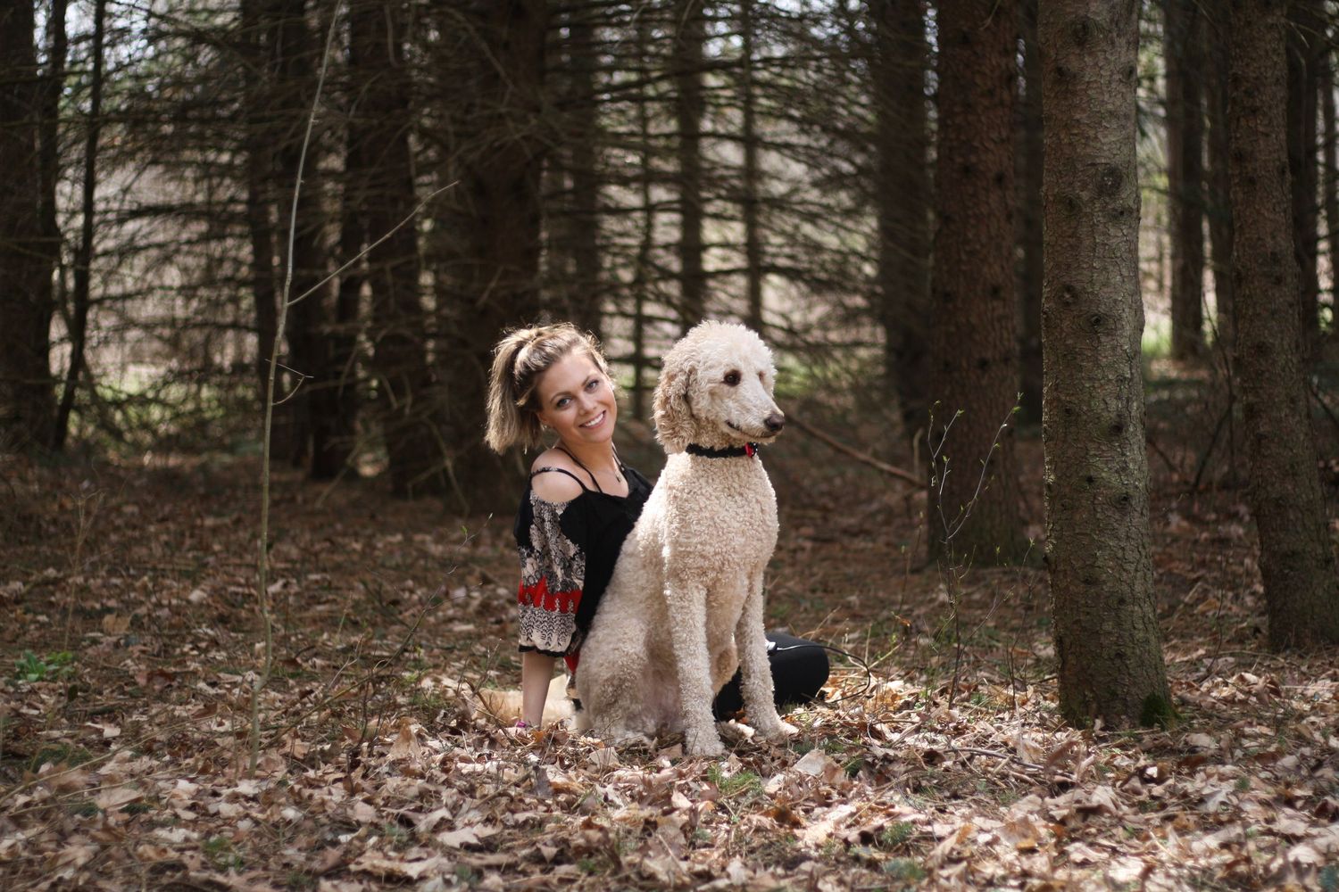 A doodle dog sits with their companion in a moody forest setting.