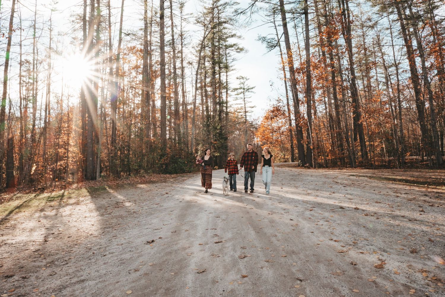 Family walks together down sandy forest path in golden autumn sunlight between tall trees.