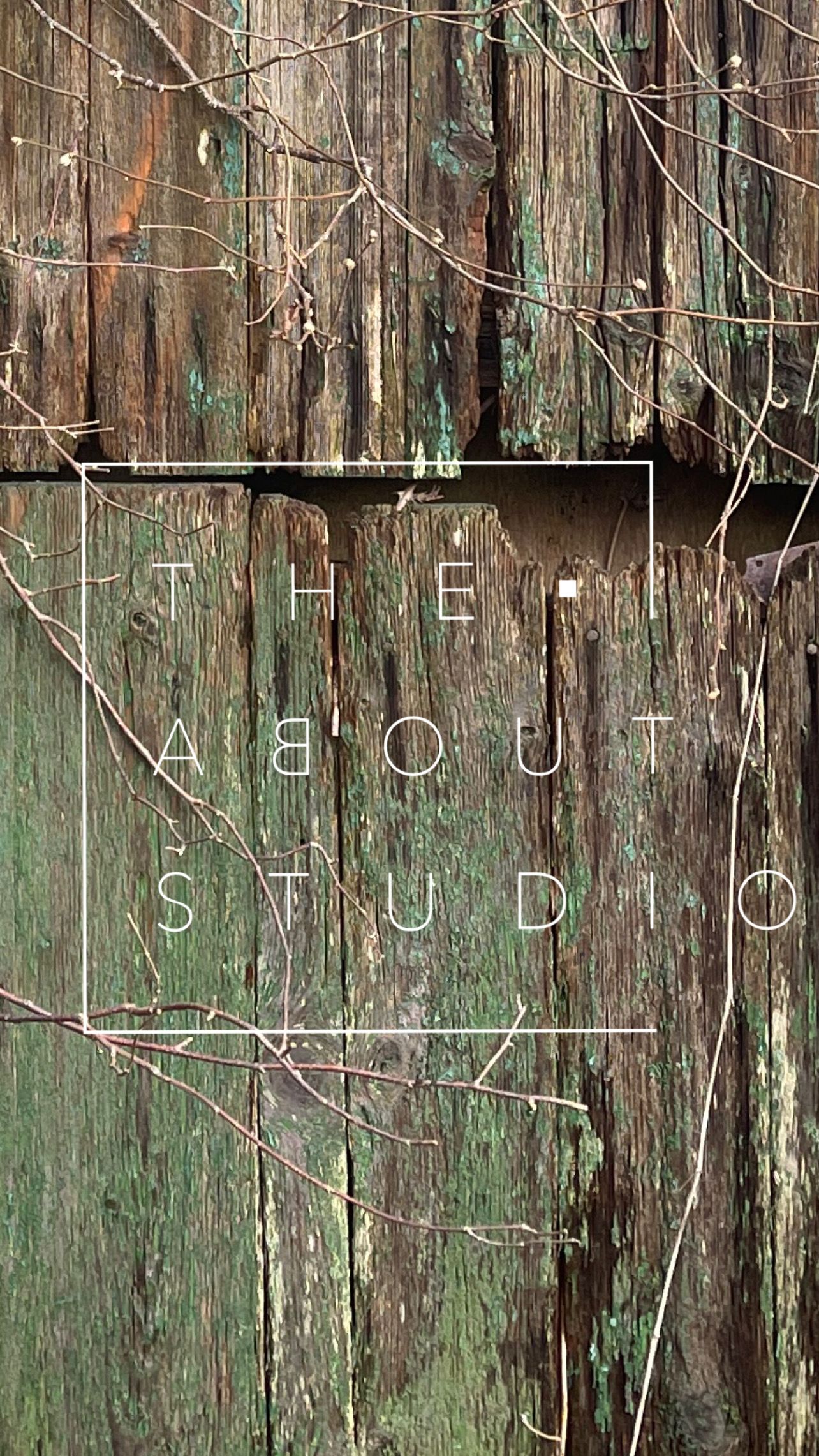 Weathered green wooden wall with 'THE ABOUT STUDIO' text overlay and climbing vines.