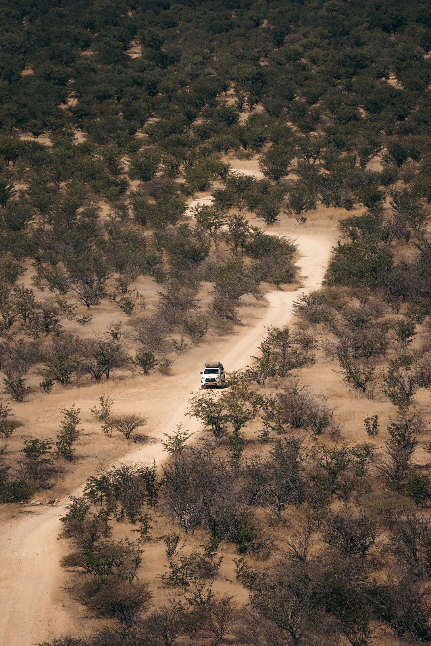 4x4 sur une piste en sable en namibie au milieu des arbres