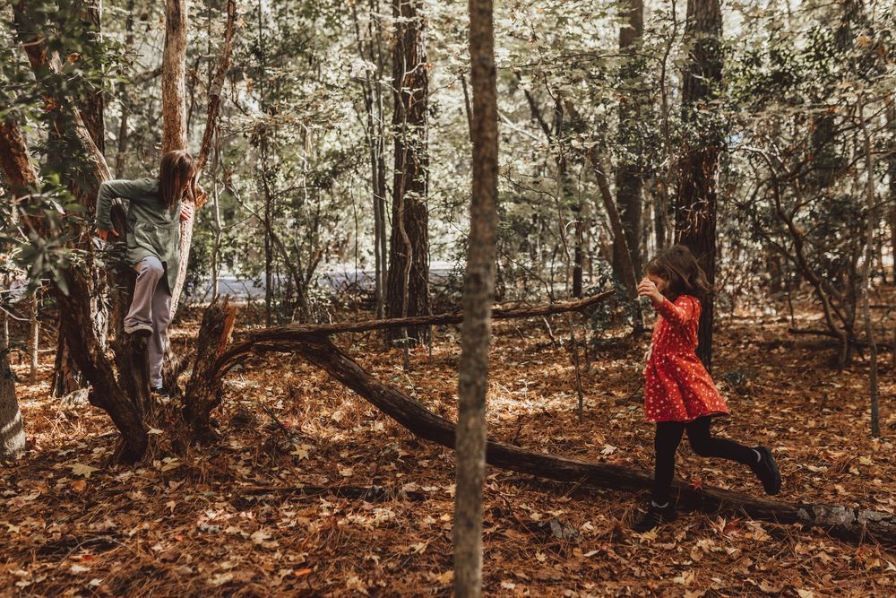 Two children playing in an autumn forest, one girl in a red dress running among fallen leaves and tall trees.