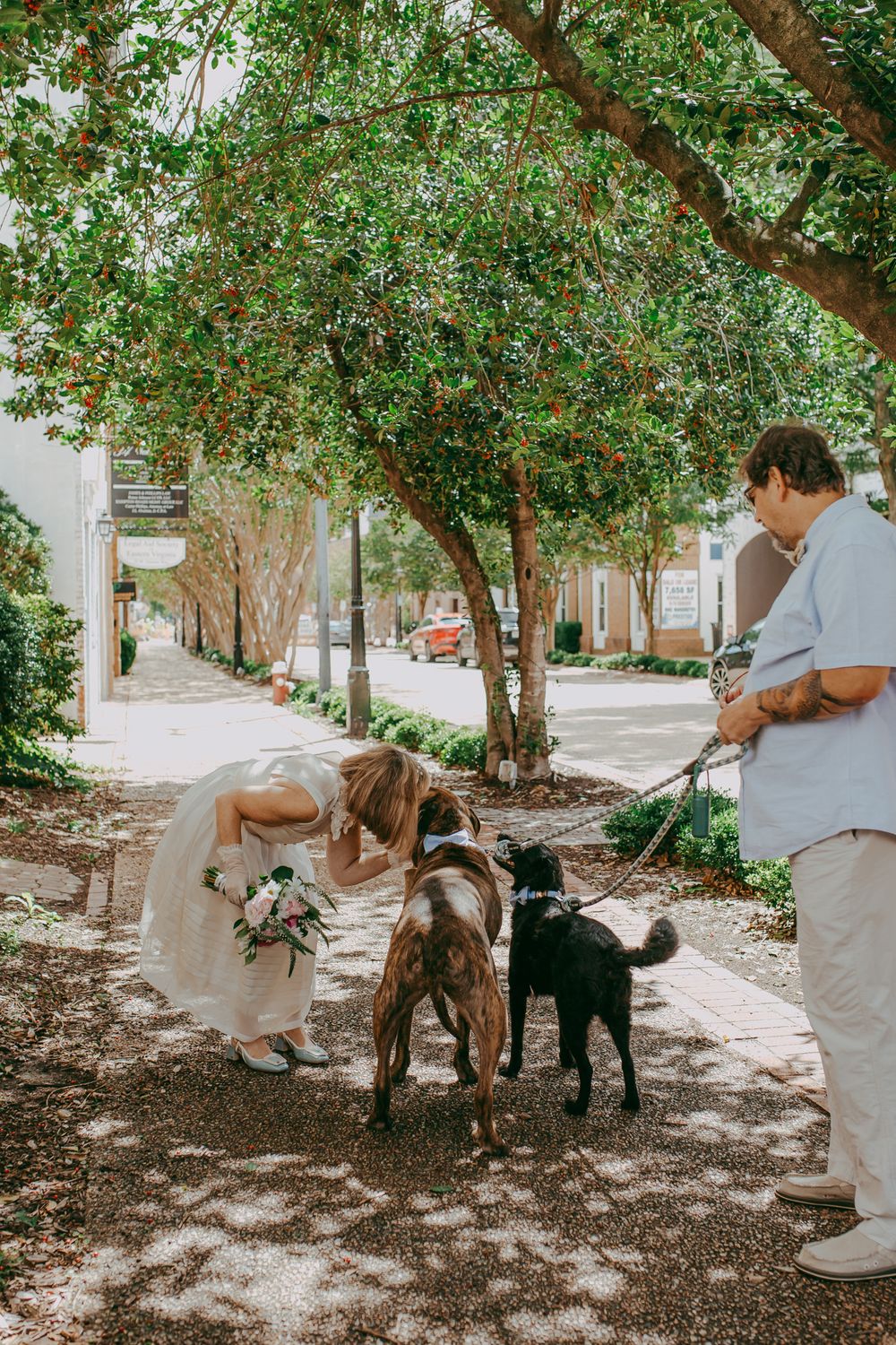 Bride in white dress bends to pet two dogs on a tree-lined sidewalk, held by a man in a blue shirt. Elopement photography.