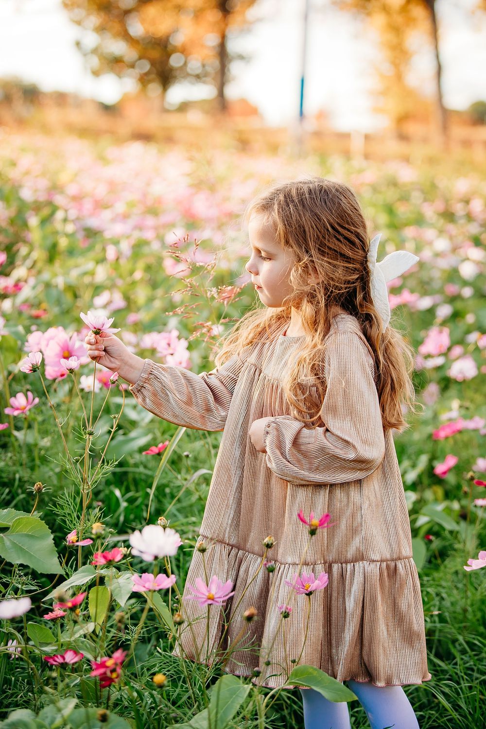 Little girl in beige dress reaching for pink cosmos flowers in a sunny flower field.