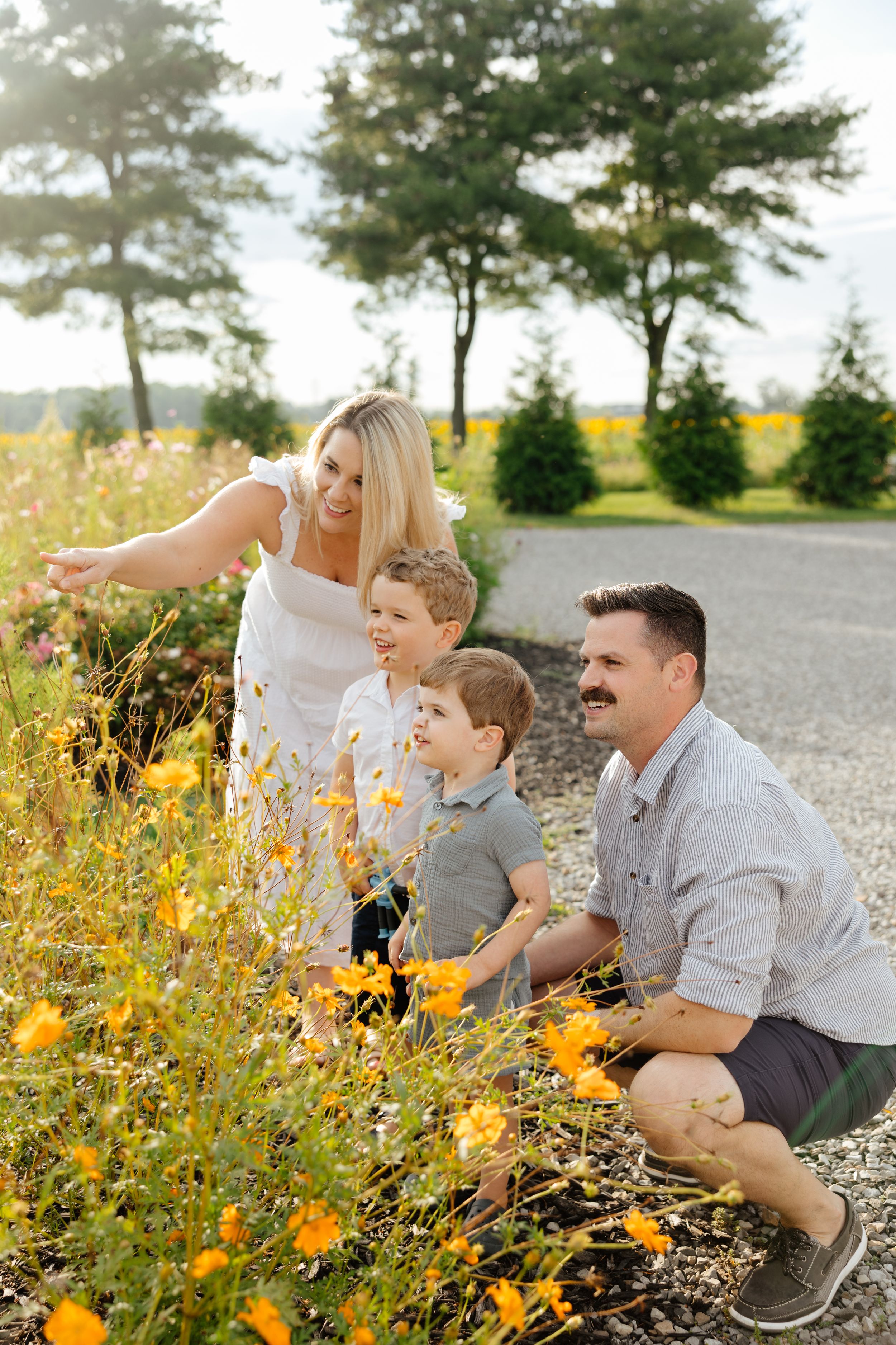 Family of four admiring yellow wildflowers in a sunny garden, with trees and a gravel path in the background.