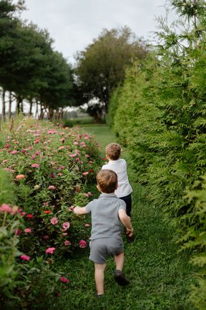 Two young boys running along a lush garden path lined with pink flowers and green hedges.