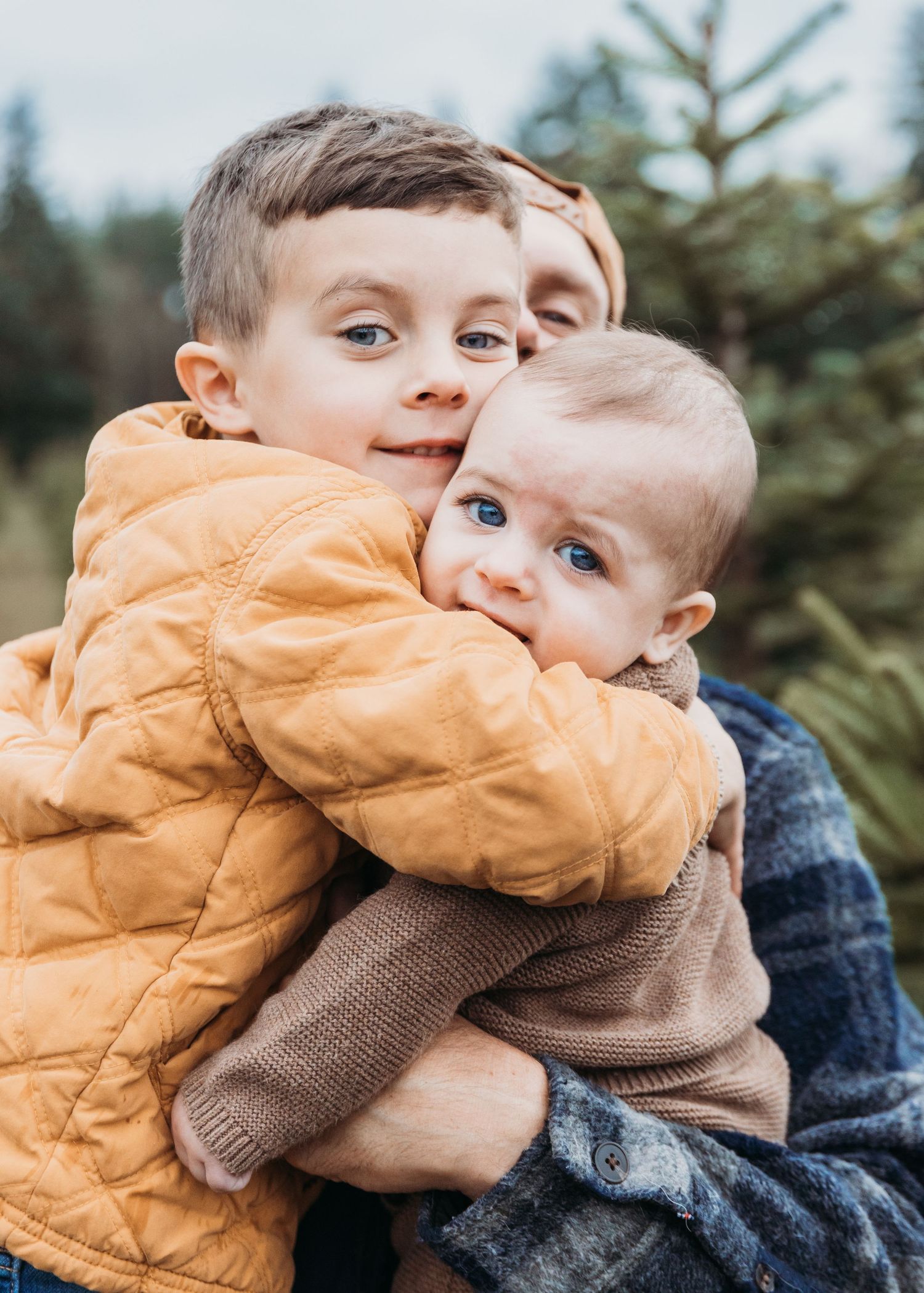 Family sharing tender moments together amidst evergreen trees at sunset with magical bokeh lighting effects.