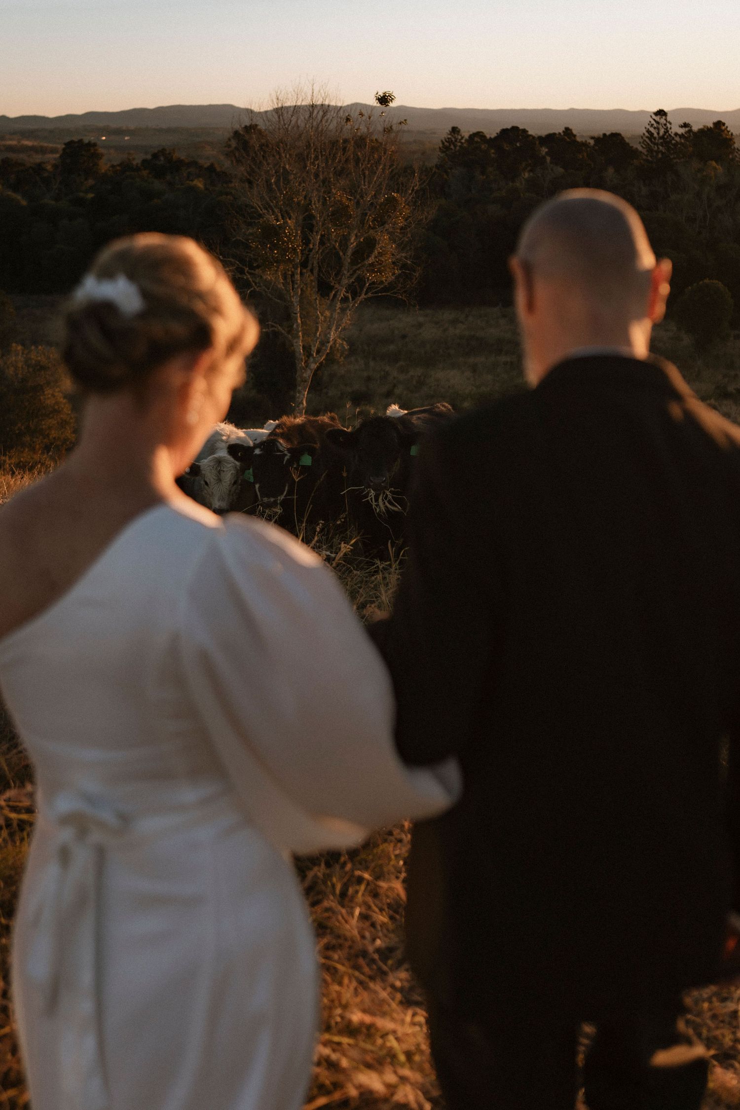 Bride and groom stand hand in hand at golden hour, gazing over a scenic rural landscape at sunset.