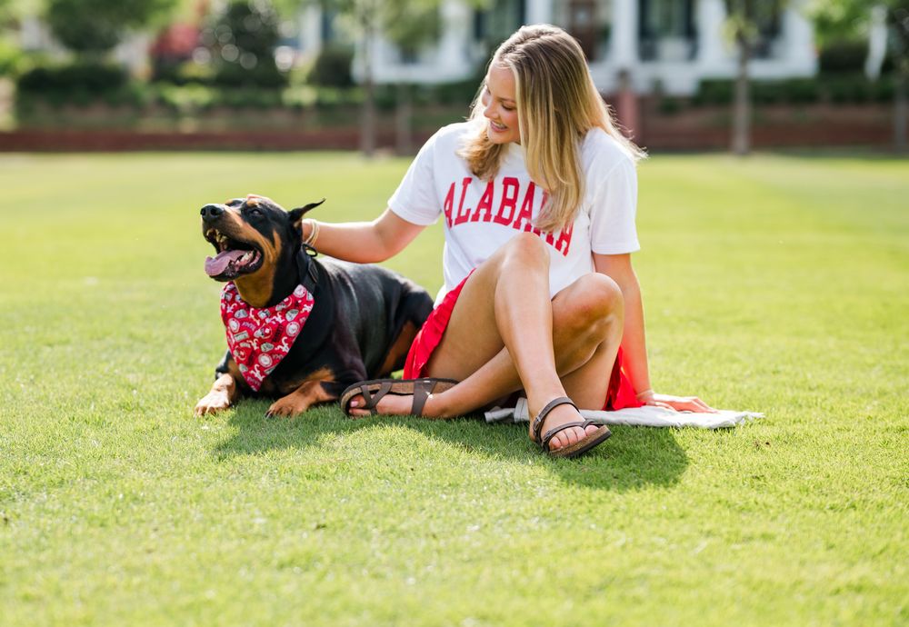 A young woman in an Alabama shirt sits on green grass petting a Rottweiler wearing a red bandana.