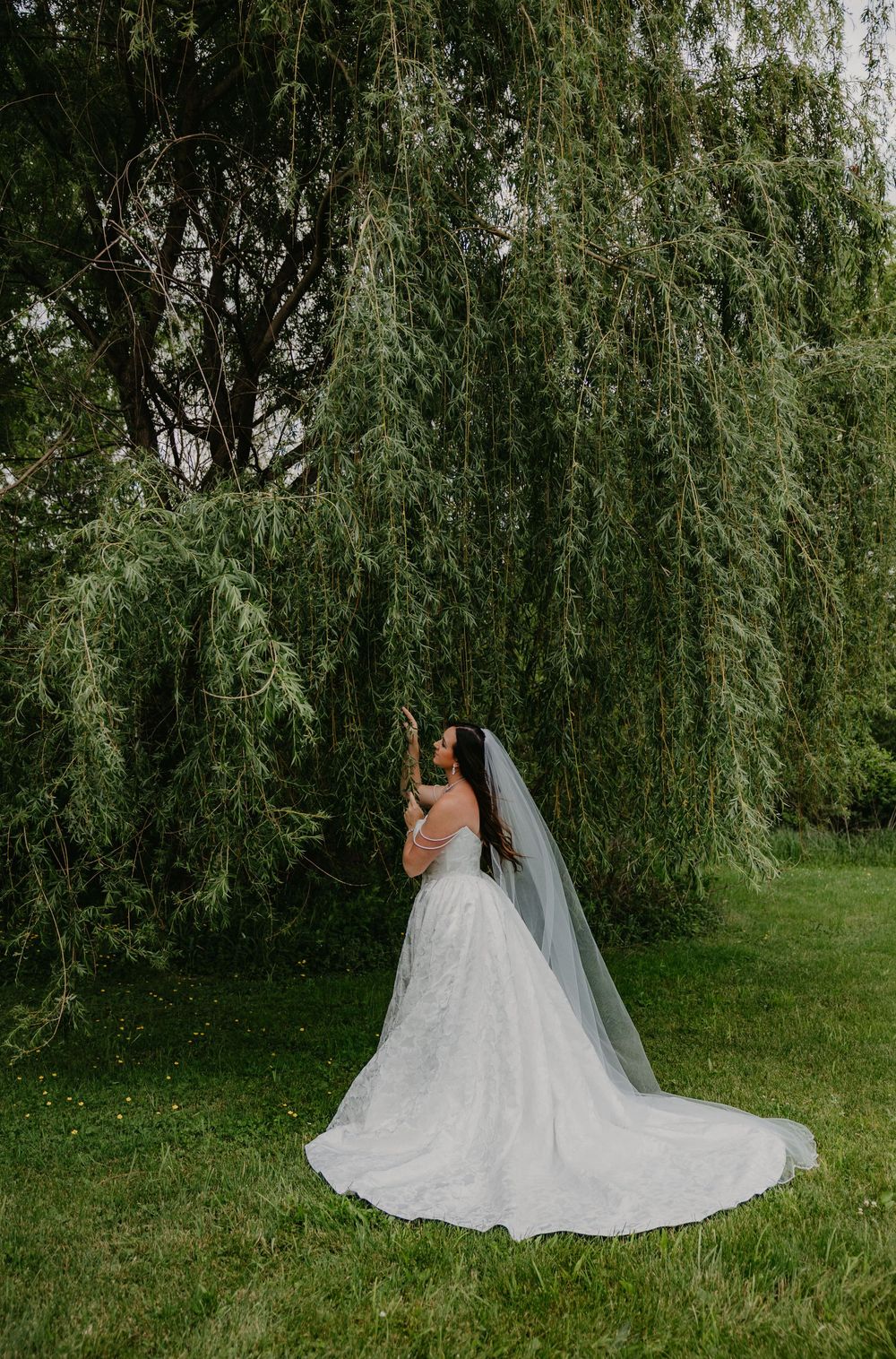 Bride in a white lace gown and veil stands beneath a weeping willow tree on lush green grass.