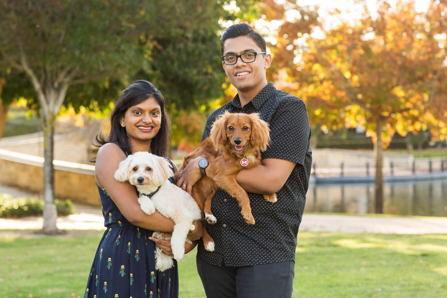 Couple holding their dogs during autumn golden hour photo session in subiaco for pet session in Perth
