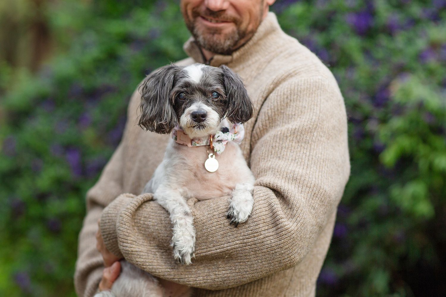 Senior dog cuddled up in owners arms with purple flower bush in the background during pet session in Perth
