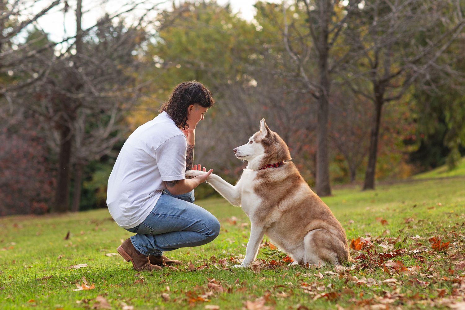 Husky and owner sharing a special moment during pet photo session in perth