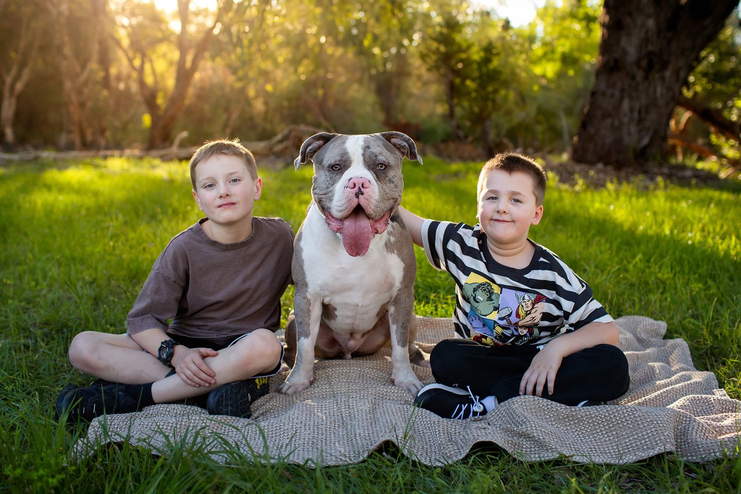Two children embracing their pet dog while sitting on a rug on the grass during golden hour in Perth