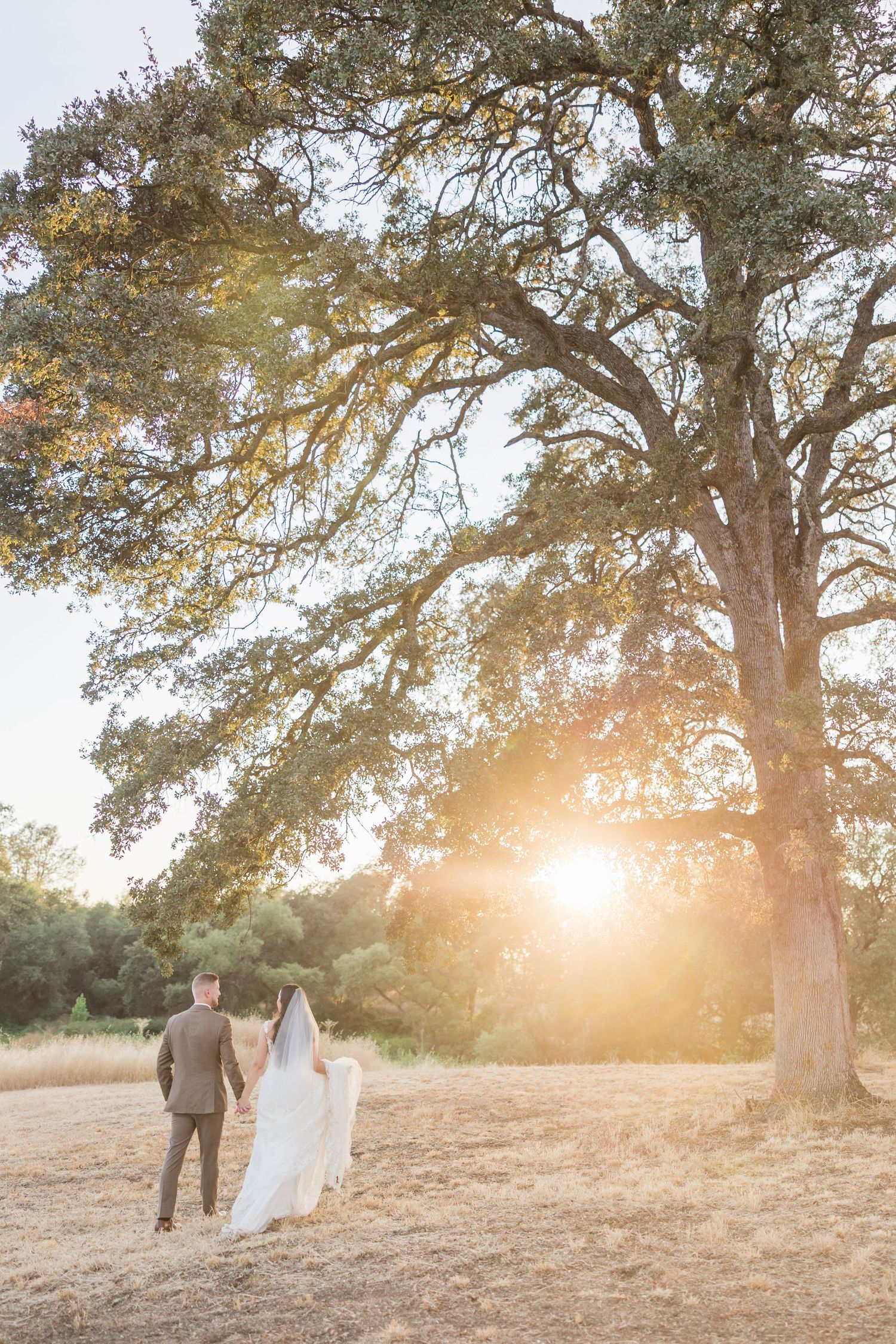 Groomsmen in navy blue suits tossing the groom into the air outdoors, celebrating with joy at a wedding.