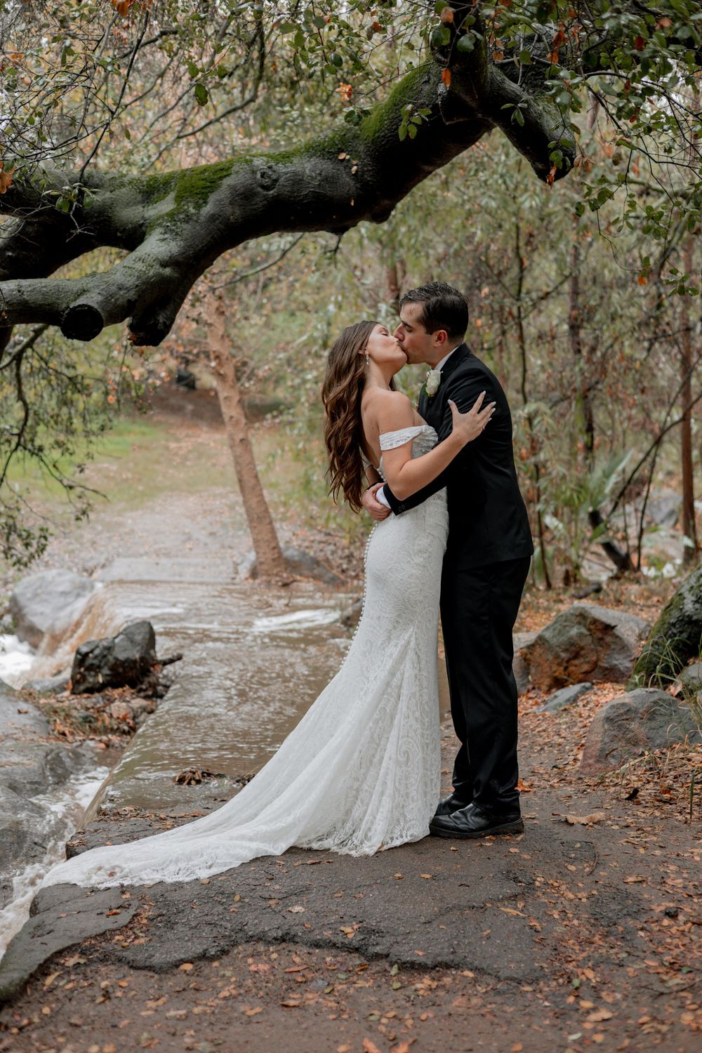 Bride and groom kiss next to a waterfall under a beautiful tree.