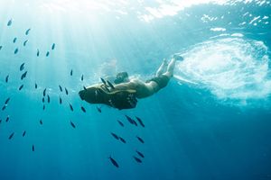 Snorkeler diving underwater surrounded by tropical fish in crystal clear blue ocean with sunlight rays.