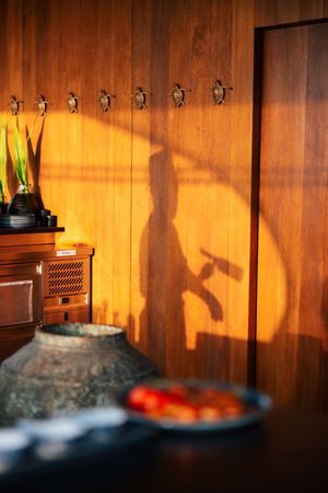 Shadow of a person cast on warm wooden paneled wall with decorative hooks, vintage decor, and blurred foreground objects.