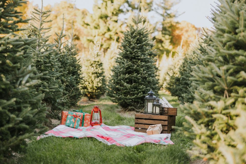 Christmas Minis 2026