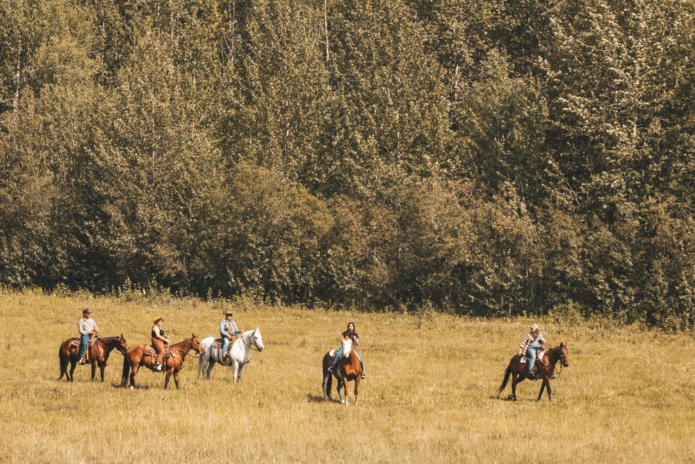 Five riders on horseback traverse a golden meadow bordered by lush autumn trees during a scenic trail ride.