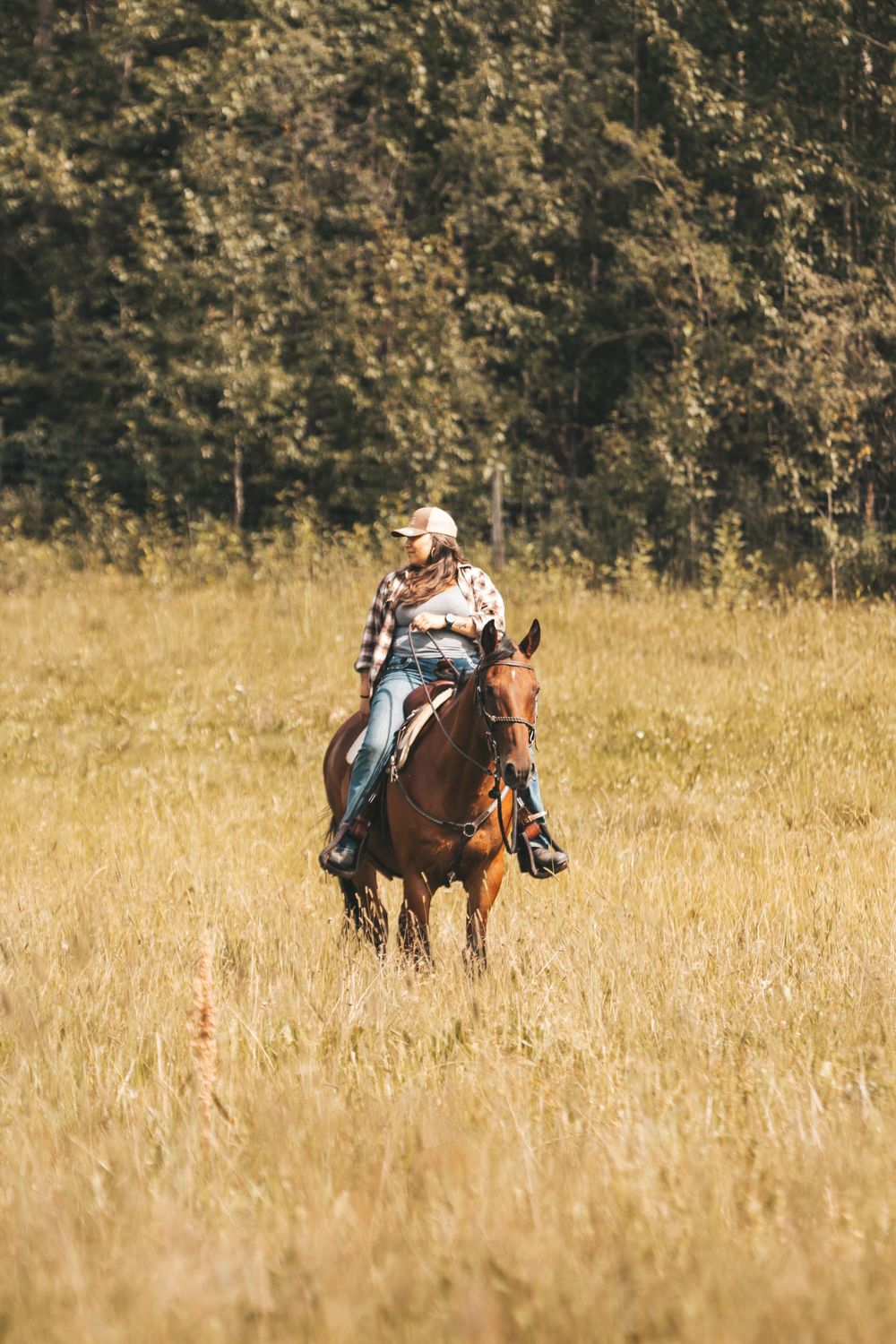 Person riding a brown horse through a golden meadow field with green trees in the background on a sunny day.