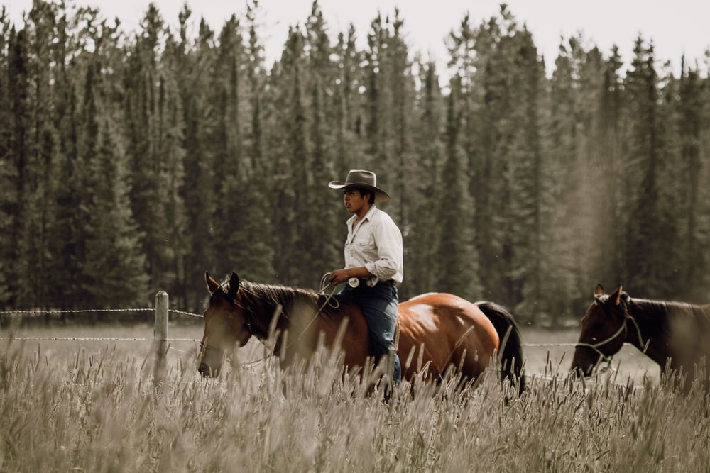 A cowboy in a hat rides a brown horse through tall grass, leading another horse near a pine forest.