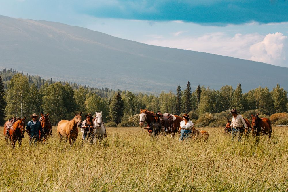 Cowboys herding horses through golden meadow with mountain backdrop and evergreen trees under blue sky.