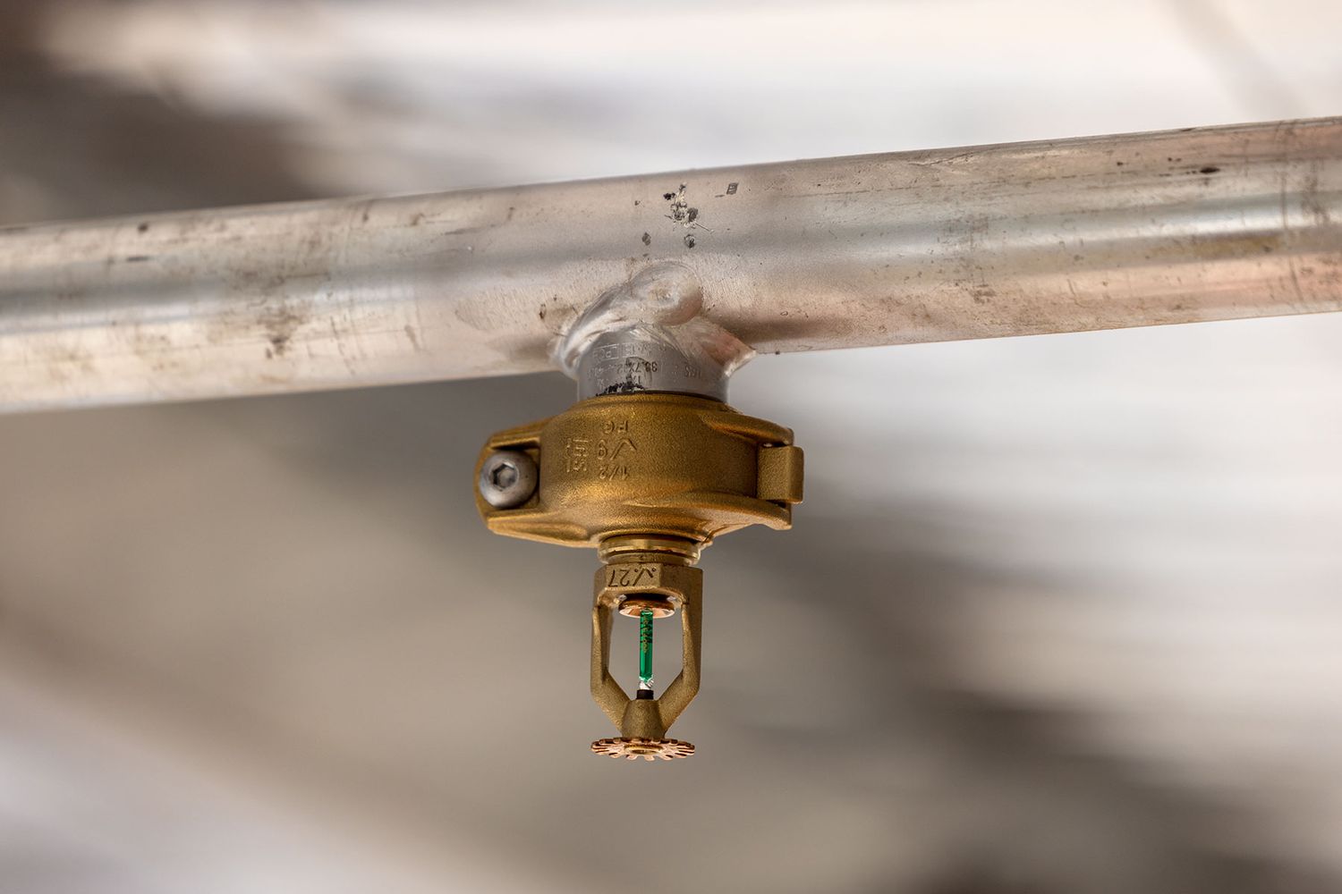 Close-up of a brass fire sprinkler head mounted on a pipe, used in commercial building fire suppression systems.