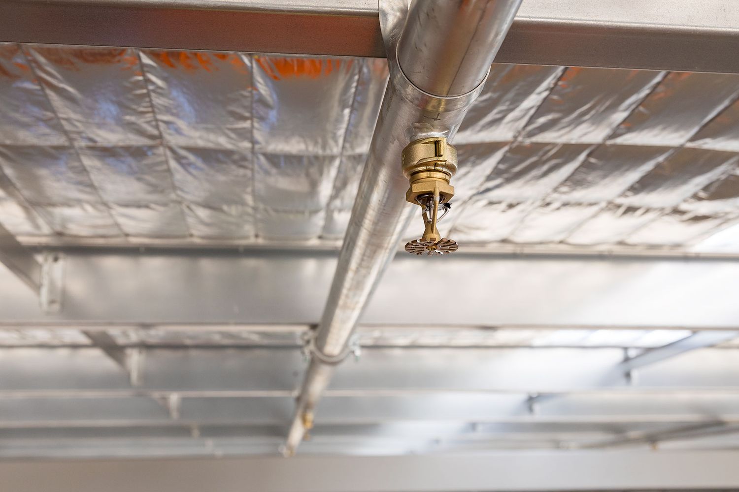 Close-up of a brass fire sprinkler head mounted on an insulated ceiling with reflective foil ductwork.
