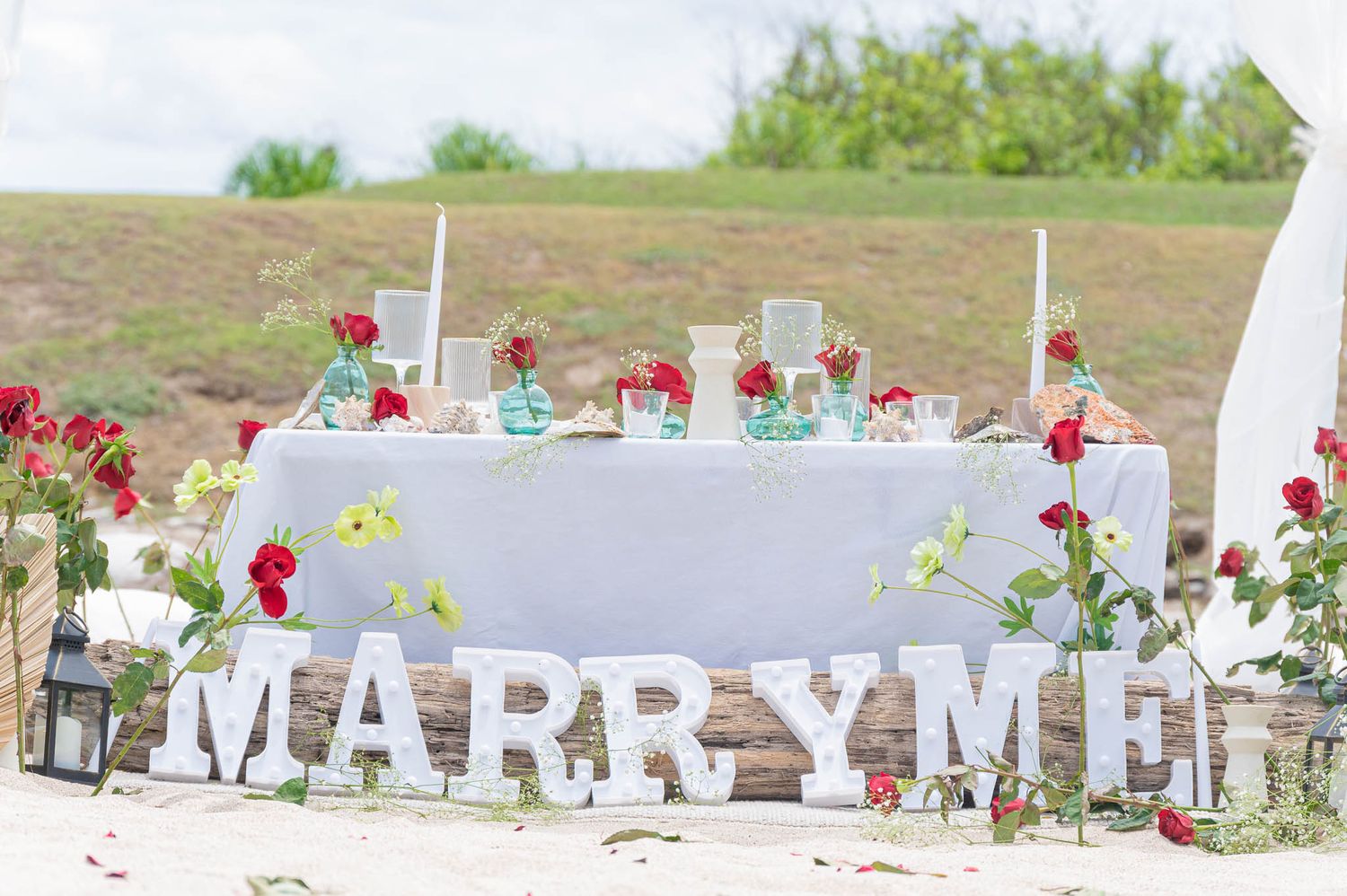 Outdoor romantic MARRY ME proposal table setup with red roses, white letters, and elegant decorations on a scenic hillside.