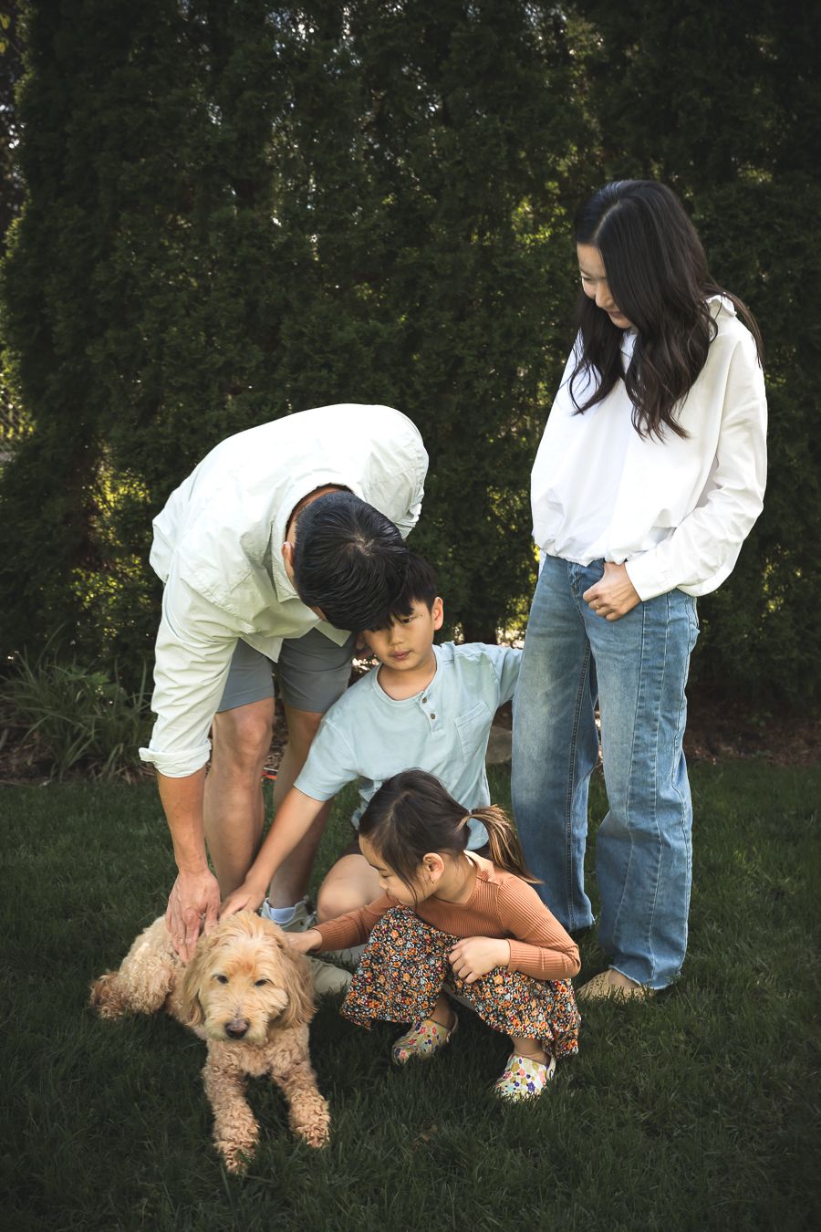 Asian family with two children petting a golden doodle dog on green grass with dark hedges behind.