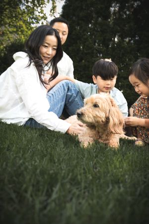 Asian family with two children petting a golden dog on green grass in a park.