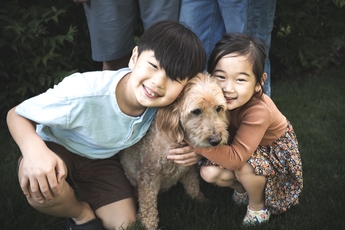Two smiling Asian children hugging a golden doodle dog outdoors on green grass with family in background.