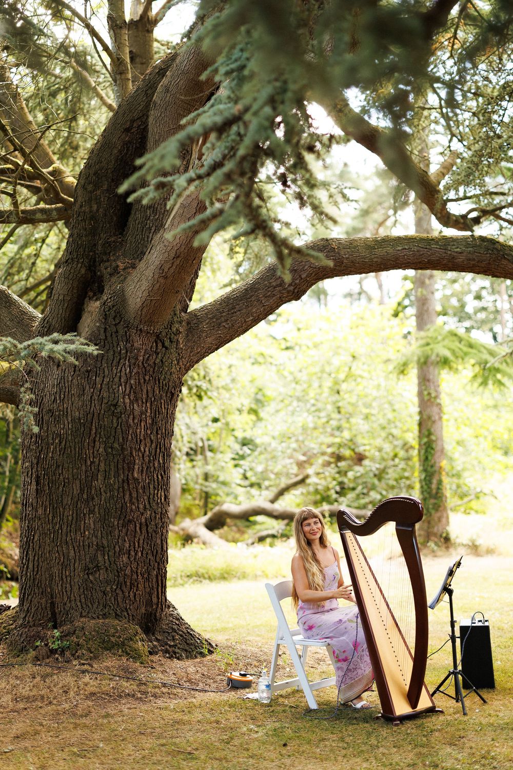 A harpist in a floral dress plays her harp outdoors beneath a large tree in a lush green garden.