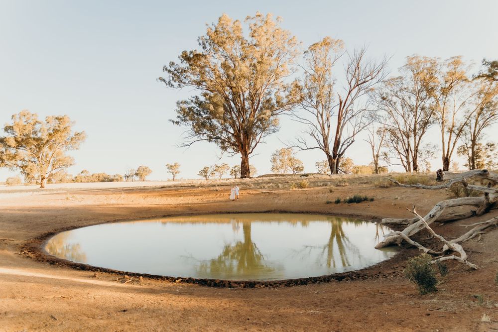Serene outback waterhole reflecting eucalyptus trees in warm afternoon light.
