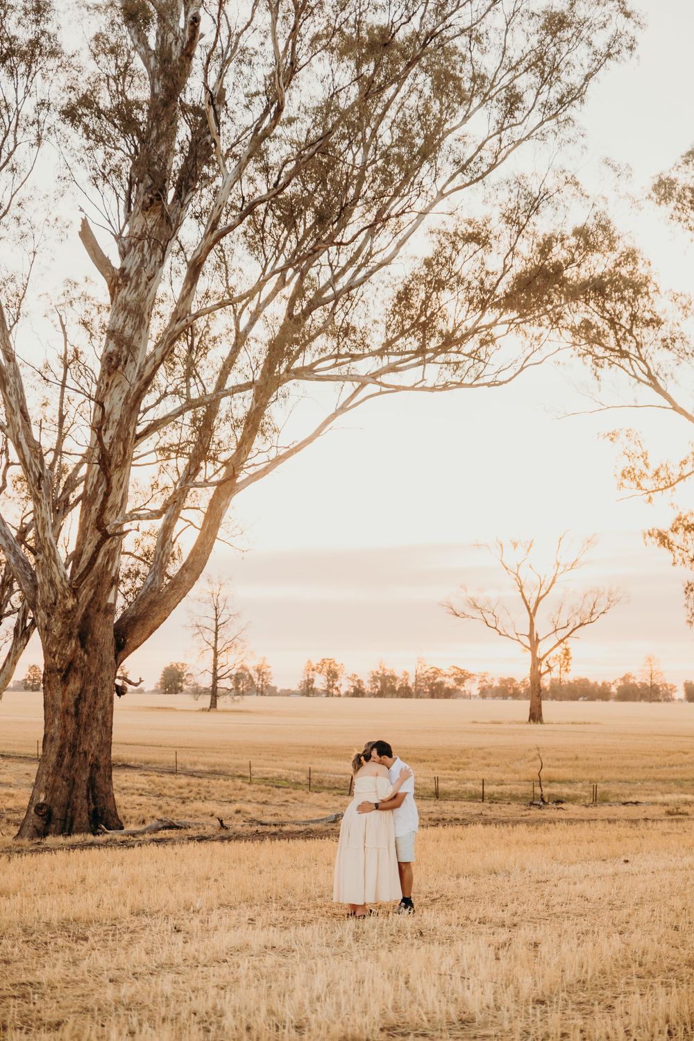 Couple embracing and kissing beneath a large eucalyptus tree in a dry Australian paddock.