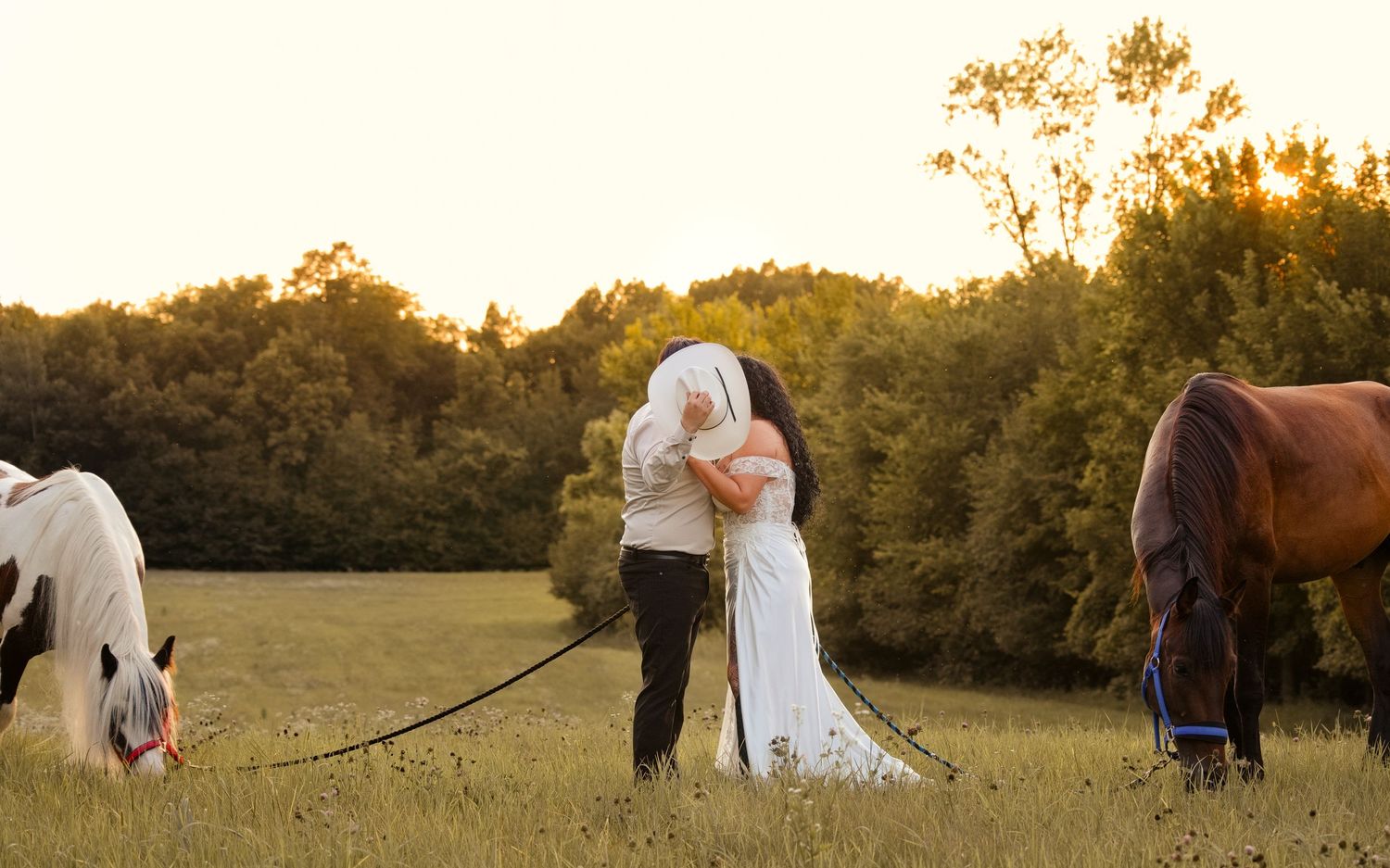 Bride and groom kissing in golden field at sunset with two grazing horses in romantic outdoor wedding photo.