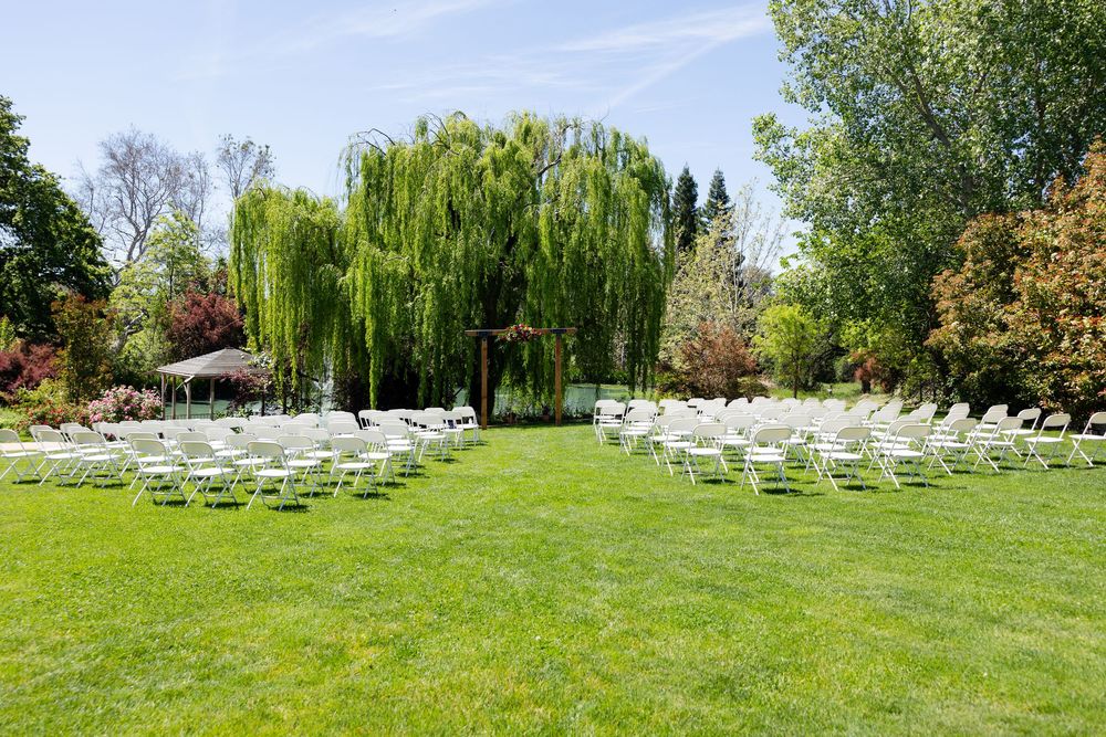 Outdoor wedding ceremony setup with white chairs on green lawn under willow tree.