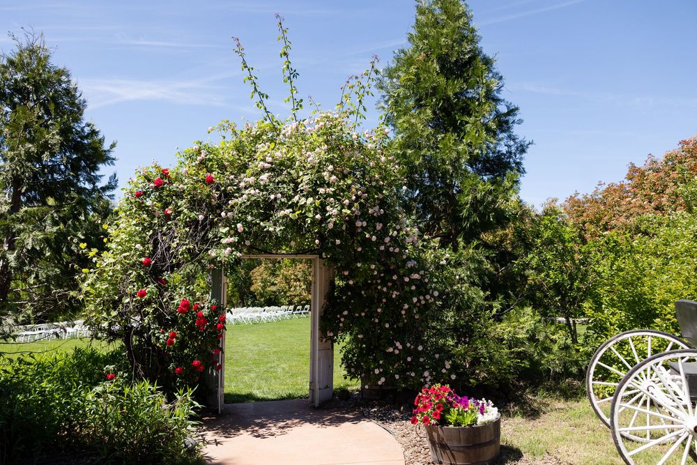 Floral archway covered in blooming roses leading to a sunny garden wedding venue.