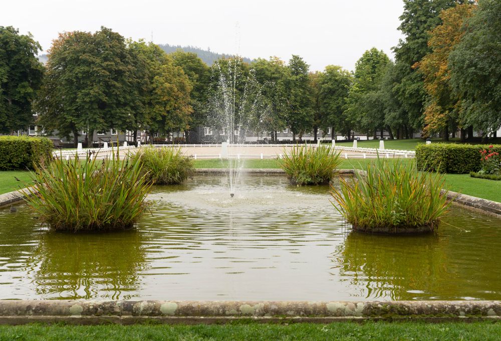 Ornamental pond with fountain and grass islands in a formal garden setting with tall trees.