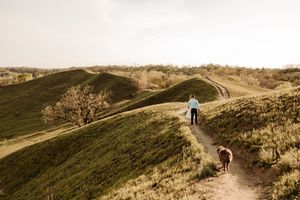 Person walking a brown dog along a winding trail through rolling green hills.